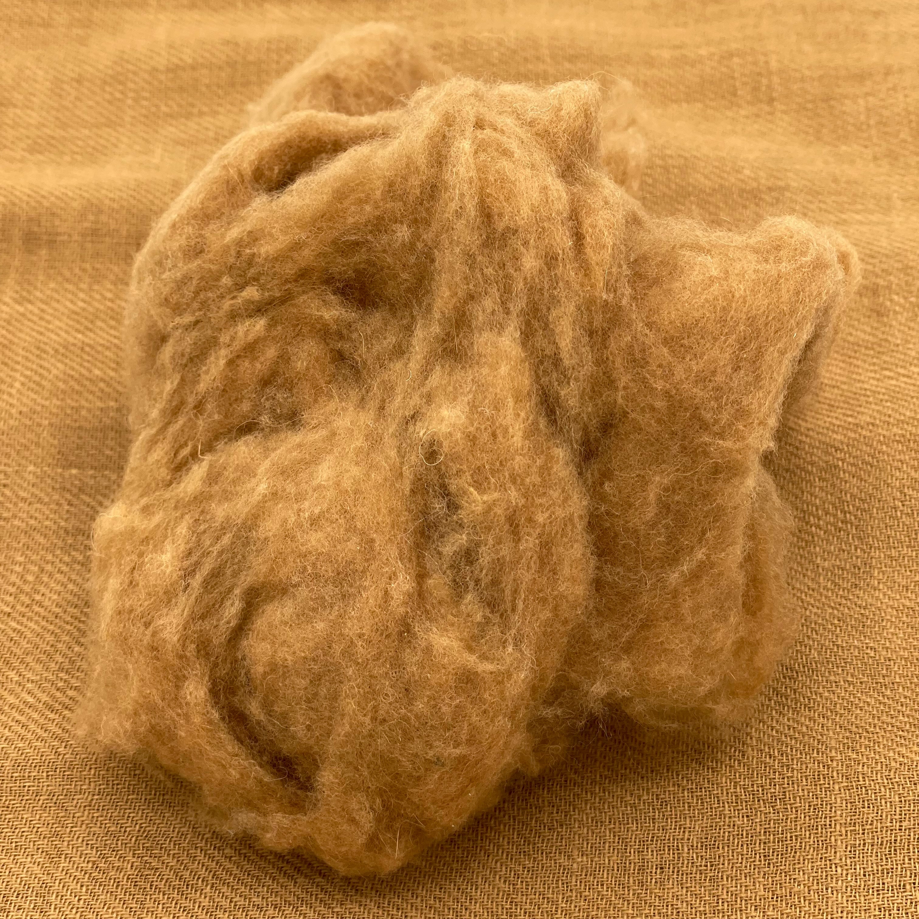 100% Raw Vicuna Fiber - 10 Grams