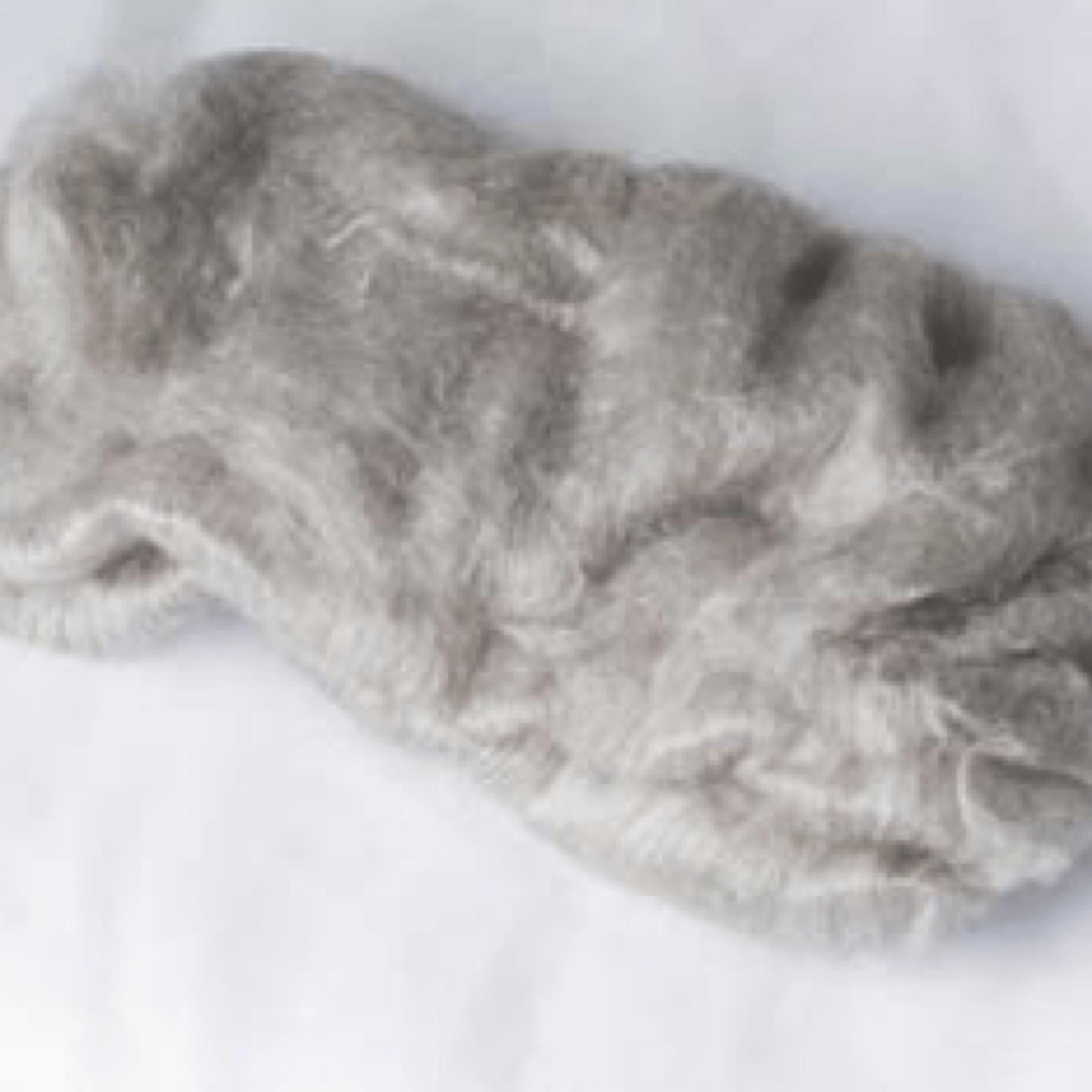 Qiviut/Silk Raw Fiber