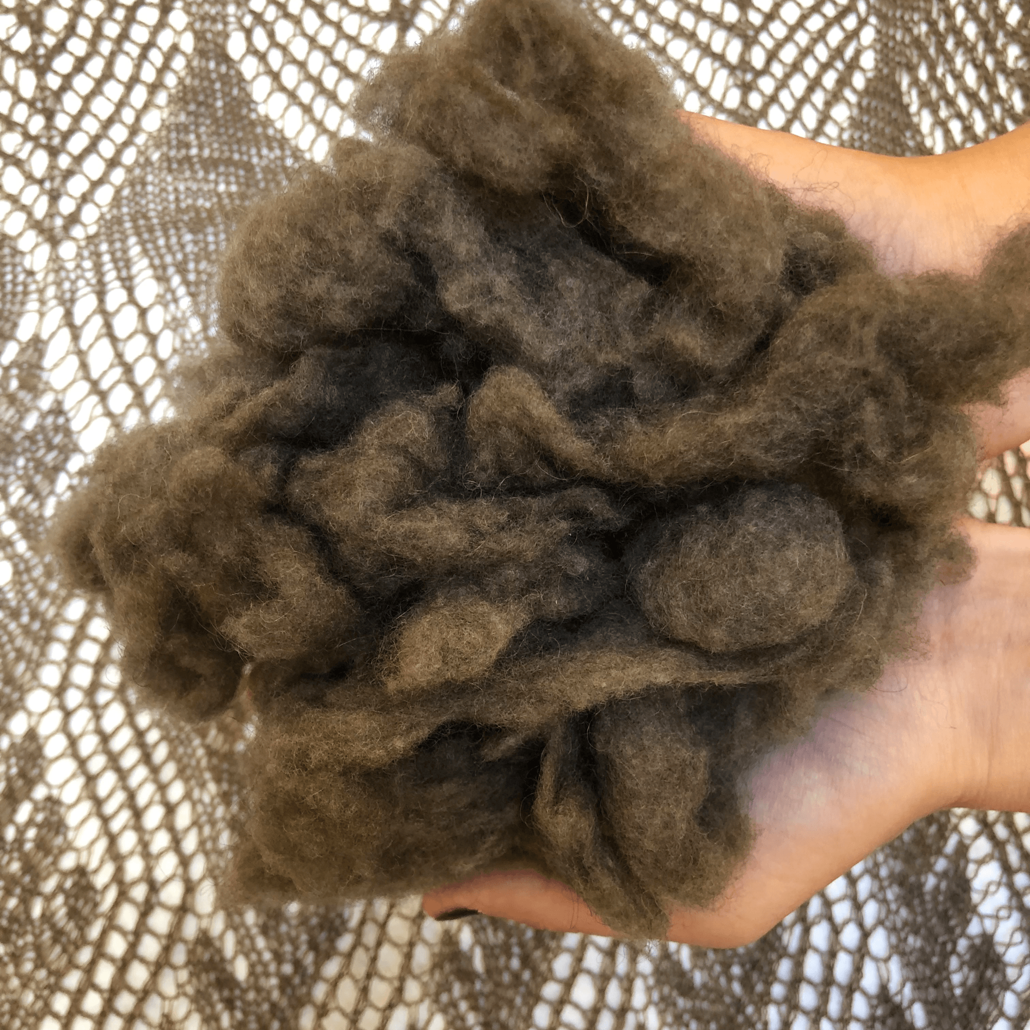 100% Raw Qiviut Fiber