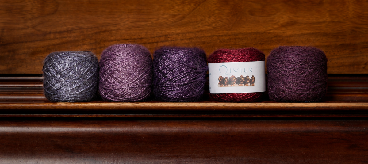 Five skeins of qiviut yarn in grey, mauve, purple, red and plum on a wooden shelf.