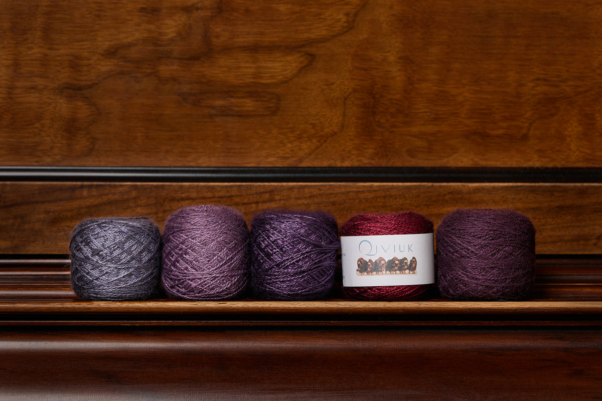 Five skeins of qiviut yarn in grey, mauve, purple, red and plum on a dark wooden shelf